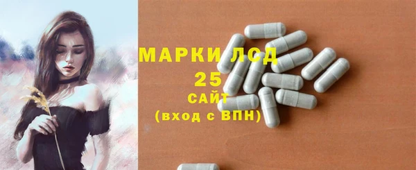 индика Волосово