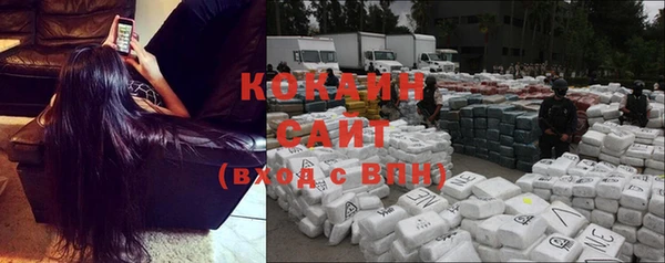 индика Волосово