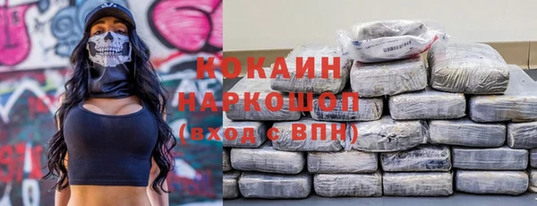 индика Волосово
