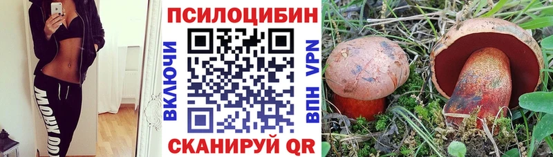 купить наркотик  Истра  Псилоцибиновые грибы ЛСД 